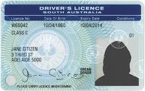 australian drivers license