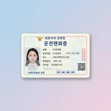 Korean driver’s license