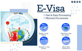 e-Visa online process