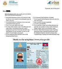 electronic visa online