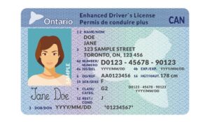 Purchase Canadian Driver License
