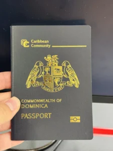 Buy American diplomatic passport