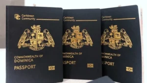 buying diplomatic passport